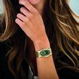 Buy Online Cerruti 1881 Quartz Analog Green Dial Stainless Steel Strap ...