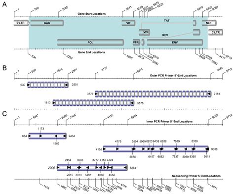Comparative HIV-1 Phylogenies Characterized by PR/RT, Pol and Near-Full ...