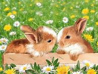Image result for Eater Bunny Art Projects