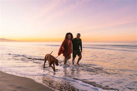 Santa Barbara's Dog-Friendly Beaches and Hikes