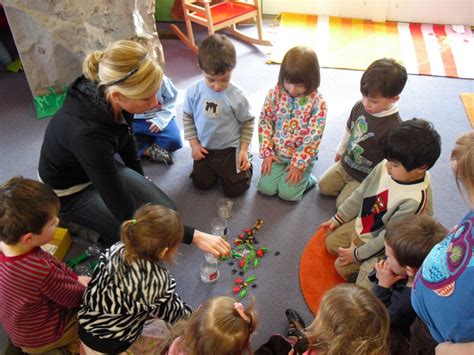 Image result for Bug Sorting