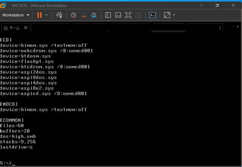 DOSBox Config File 的图像结果