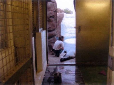 ZooLex Image - Life Support Buildings