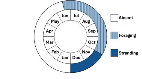Loggerhead Turtle 的图像结果
