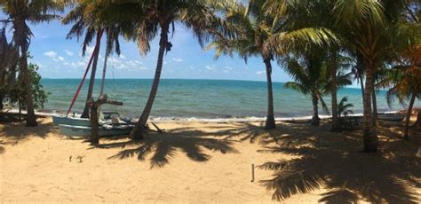 WINDSCHIEF CABANAS - Guesthouse Reviews & Photos (Belize/Hopkins ...