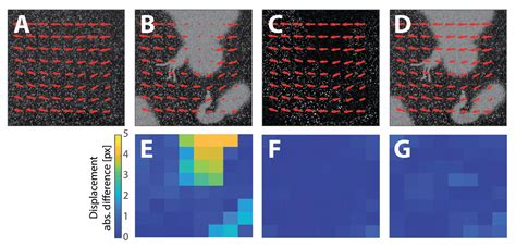 Image result for Pivlab MATLAB Tutorial