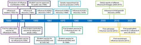 Frontiers | Recent Progress in Recombinant Influenza Vaccine Development Toward Heterosubtypic ...