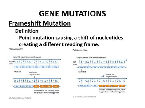 Image result for Point mutation Definition