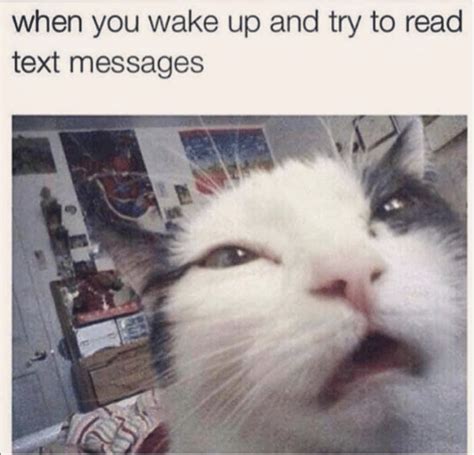 Funny Wake Up Memes for every Late Riser - AMJ