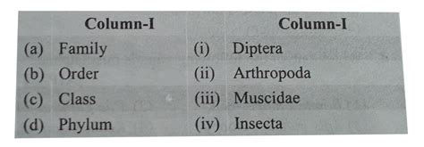 Match Column-I with Column-II for housefly classification and select ...
