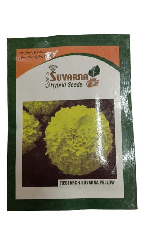 Suvarna Yellow Flower Seeds (1 Packet, 200 Seeds) | Fragrant Flowering ...