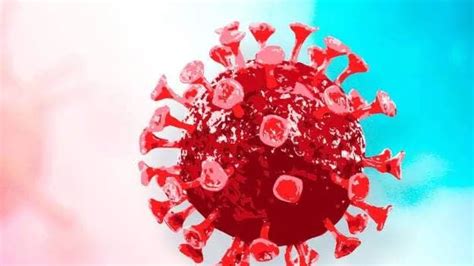Omicron spikes hospitalisation among kids under 5 in South Africa ...