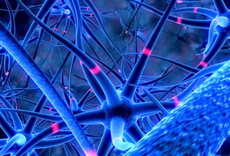 Decode The Connection Between Your Periods & Hormones – Be Me