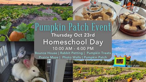 Homeschool Day - Pumpkin Patch at Grayson Farms, 2470 Eastline Rd ...