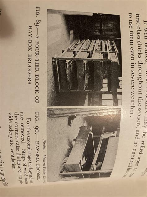 Image result for Hay Box Brooder