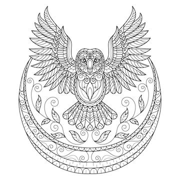 大人の塗り絵用に描かれた月とフクロウの手描き | Premiumベクトル素材