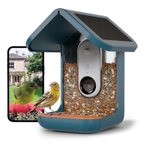 BIRD BUDDY® Original Smart Bird Feeder with Camera Solar Powered. High ...