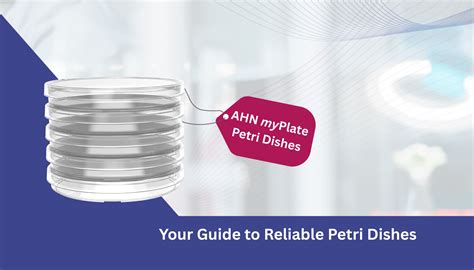 Petri Dishes Explained: Everything You Need to Know - AHN Biotechnologie GmbH