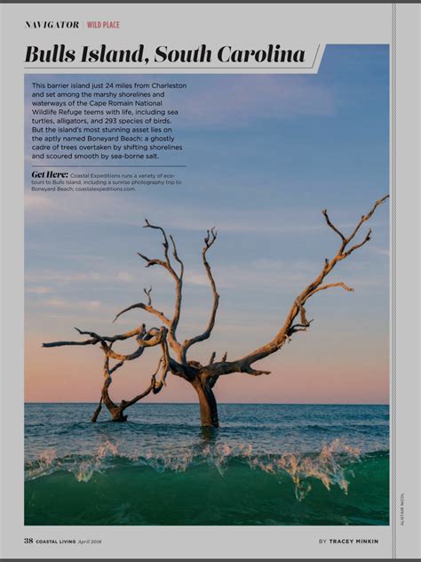 Bulls island south carolina | National wildlife refuge, Barrier island ...