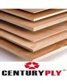 Century Bond 710 BWP Marine Plywood - 19mm -BuildersMART