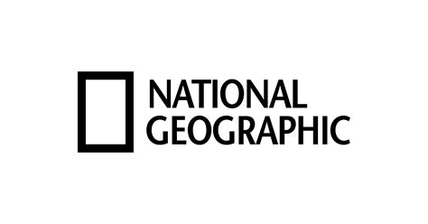 Visual Connections: Creative Agency in Bangalore