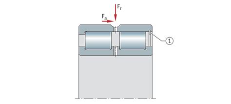 Double row full complement cylindrical roller bearings | Schaeffler medias