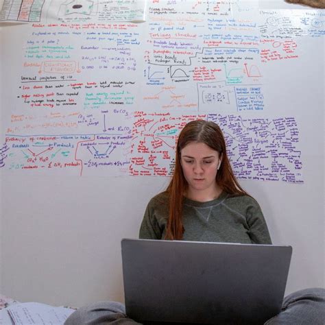 Image result for Exam Study Guide