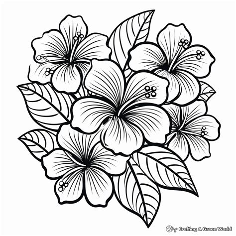 Tropical Flower Colouring Page