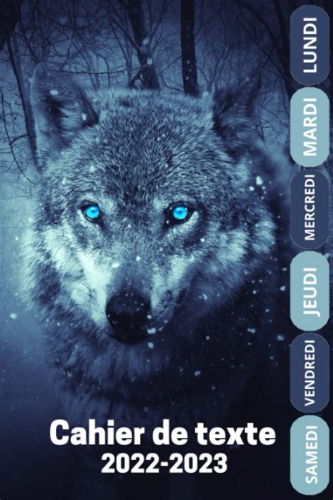 Buy CAHIER DE TEXTE 2022-2023: Cahier de texte 2022 2023 loup | cm1 cm2 ...