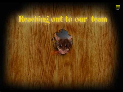 Its Not My Problem 的图像结果