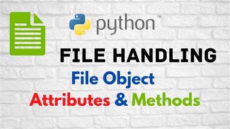 Image result for File Object Python