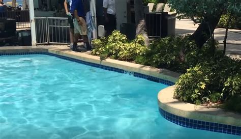 Image result for Create a Pool