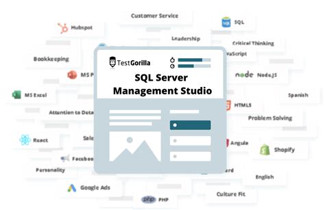 Image result for SQL Management Studio Testers
