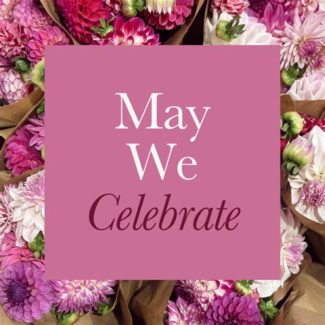 May We Celebrate | Chicago Ridge Mall