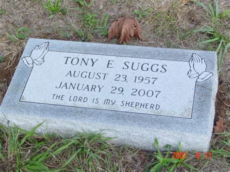 Image result for All of Tony Suggs Tutorials