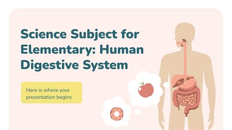Image result for Science Digestive System
