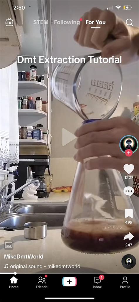 DMT Extraction Tutorial 的图像结果