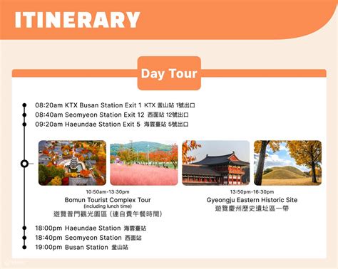 Gyeongju Autumn Foliage Day Tour from Busan - Klook India