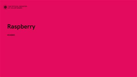 Image result for French Raspberry Color