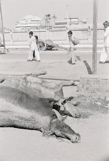 Bhopal gas tragedy: 15 shocking photos from 1984 | IndiaToday