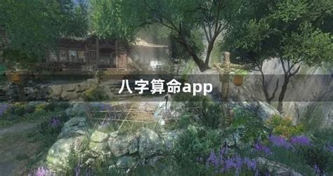 八字算命app_2022八字运势算命app_八字算命app相关下载-梦幻手游网