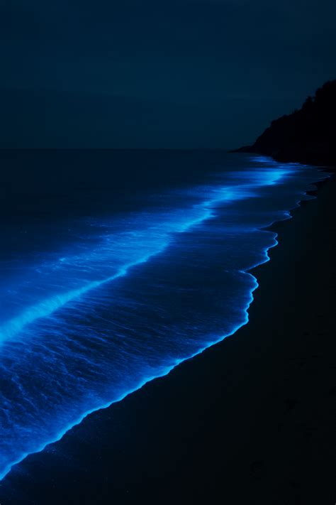 TOP 5 INDIAN BEACH THAT GLOW IN NIGHT