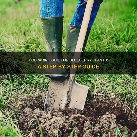 Image result for Insight Problem Solving Steps