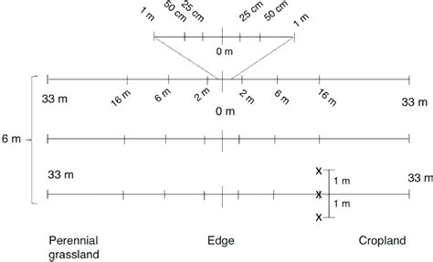 Image result for Transect Method Continuous Sampling