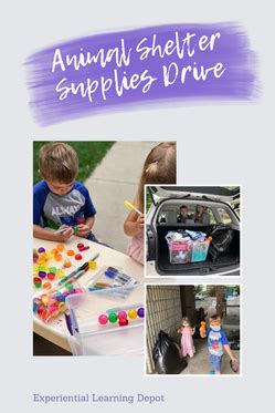 Project-based learning Examples 的图像结果