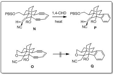 Scheme 33. Role of annelation and hybridization on BC
