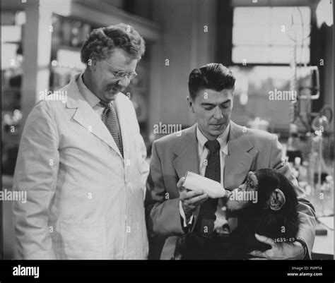 Original Film Title: BEDTIME FOR BONZO. English Title: BEDTIME FOR ...