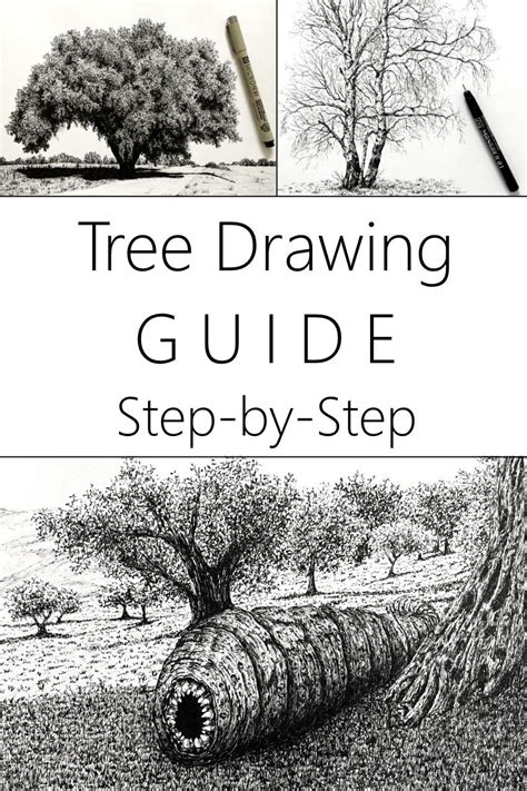 Image result for Tree Drawing Guide