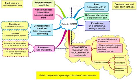 Do some people with a prolonged disorder of consciousness experience ...