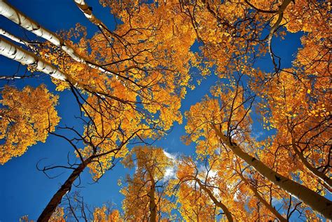 Download Stunning Fall Landscape at Sunset Wallpaper | Wallpapers.com